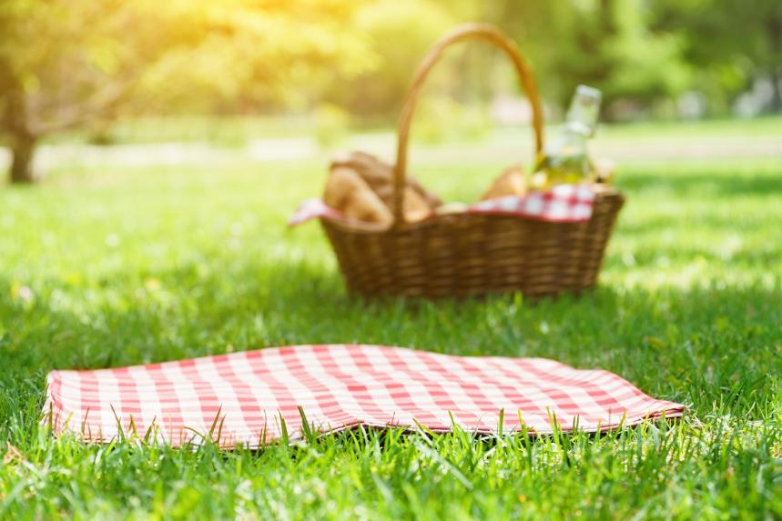How To Make The Perfect Picnic Age UK Mobility how-to-make-the-perfect-picnic-age-uk-mobility