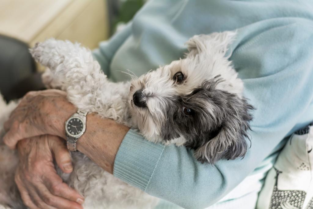 The best dogs for older people