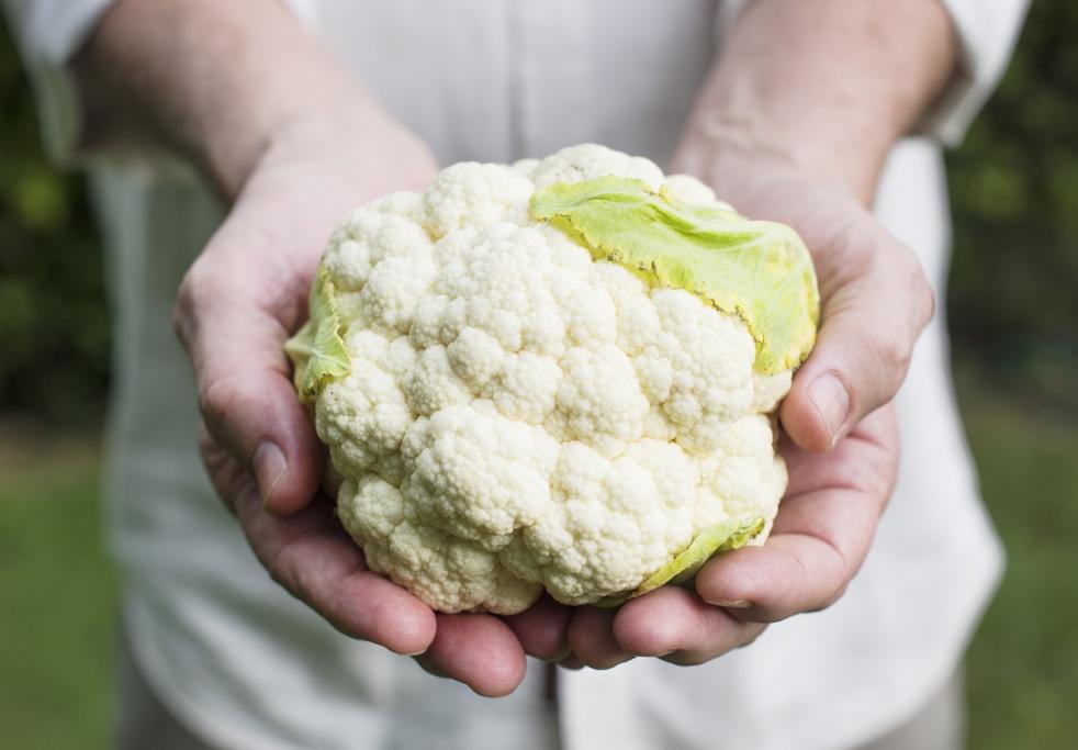 Vegetables to plant in August in the UK