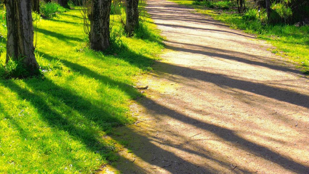 Create wide pathways and accessible seating areas