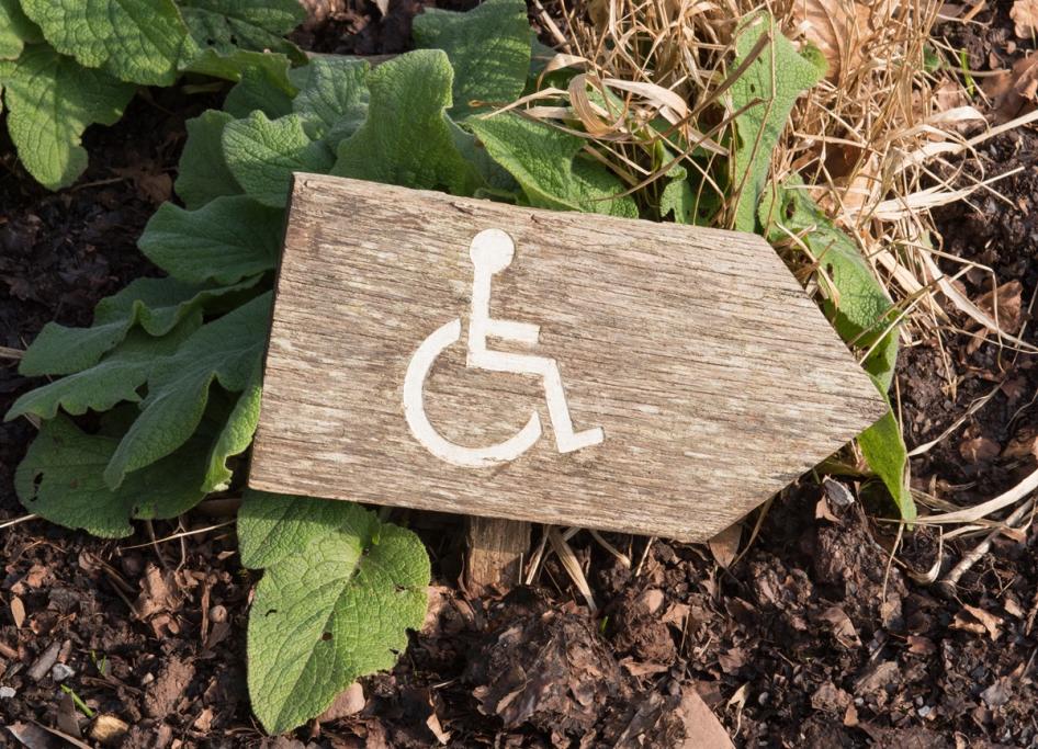 The best gardening tools for disabled people