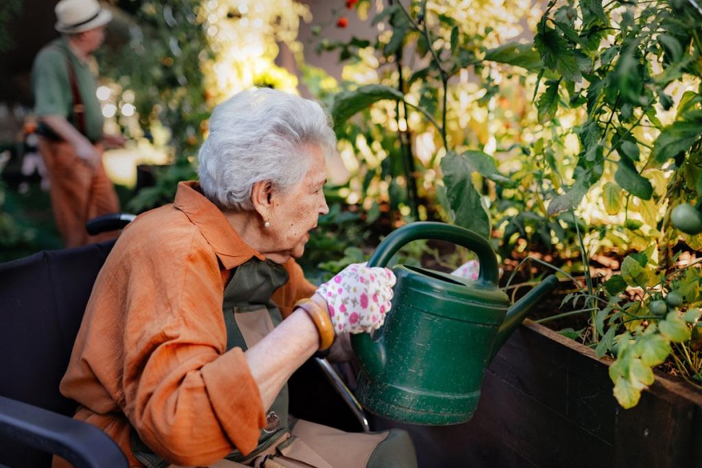 Wheelchair-Accessible Elevated Garden Bed