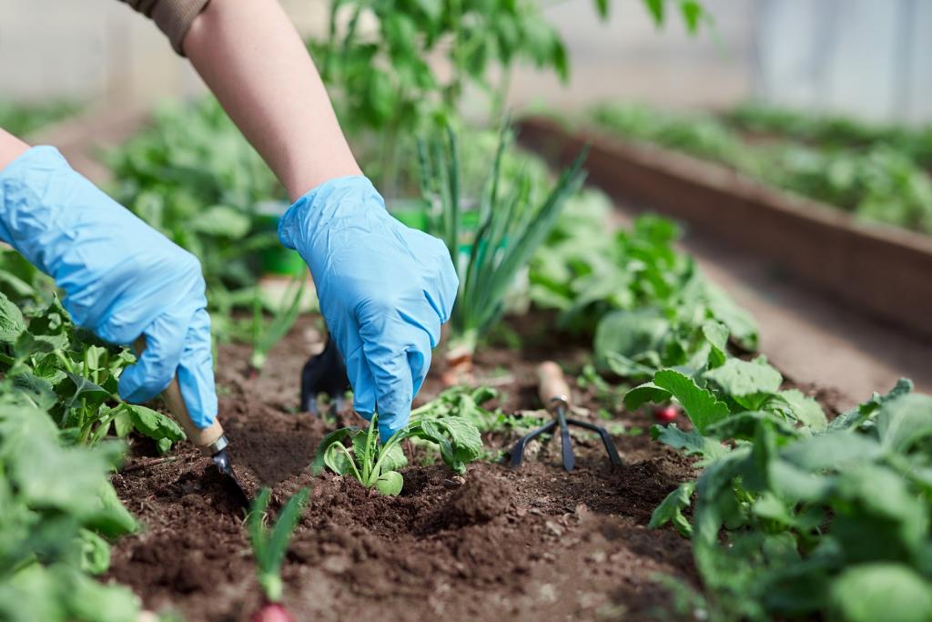gardening in blue gloves