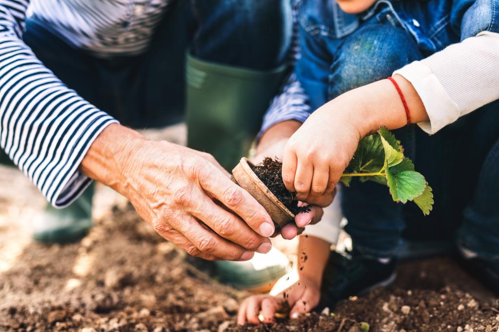 Simple gardening tips for those with limited mobility